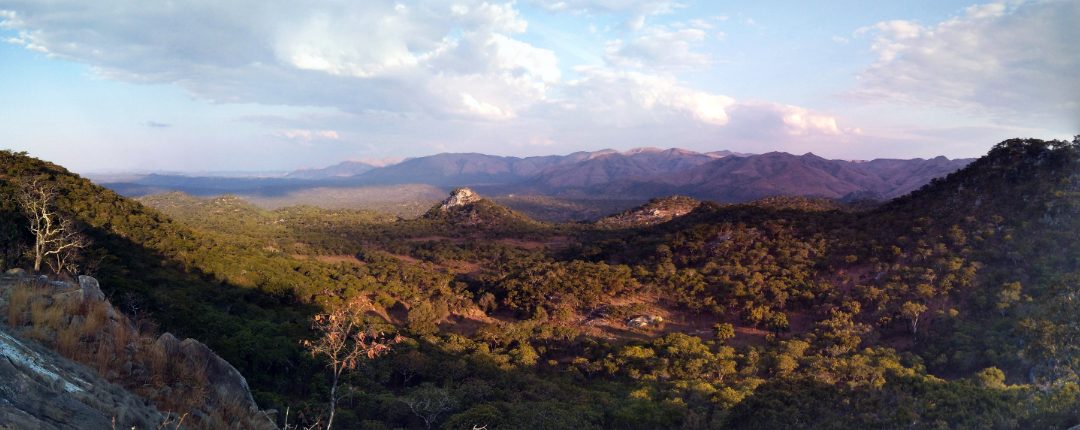 Wide aspect photo of a landscape with green trees on hills and purple mountains in the background.