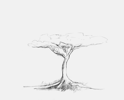 A pencil sketch of a msasa tree.